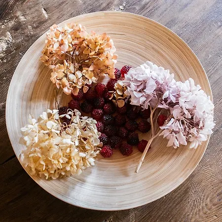 Apartment Casa Zeni Cortona