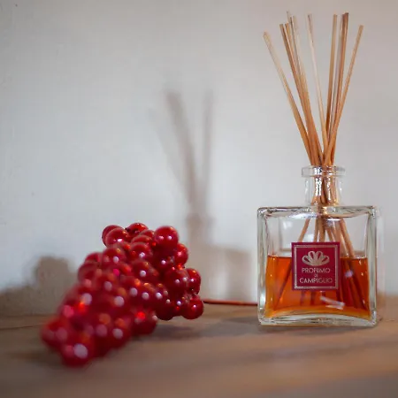 Apartamento Casa Zeni *